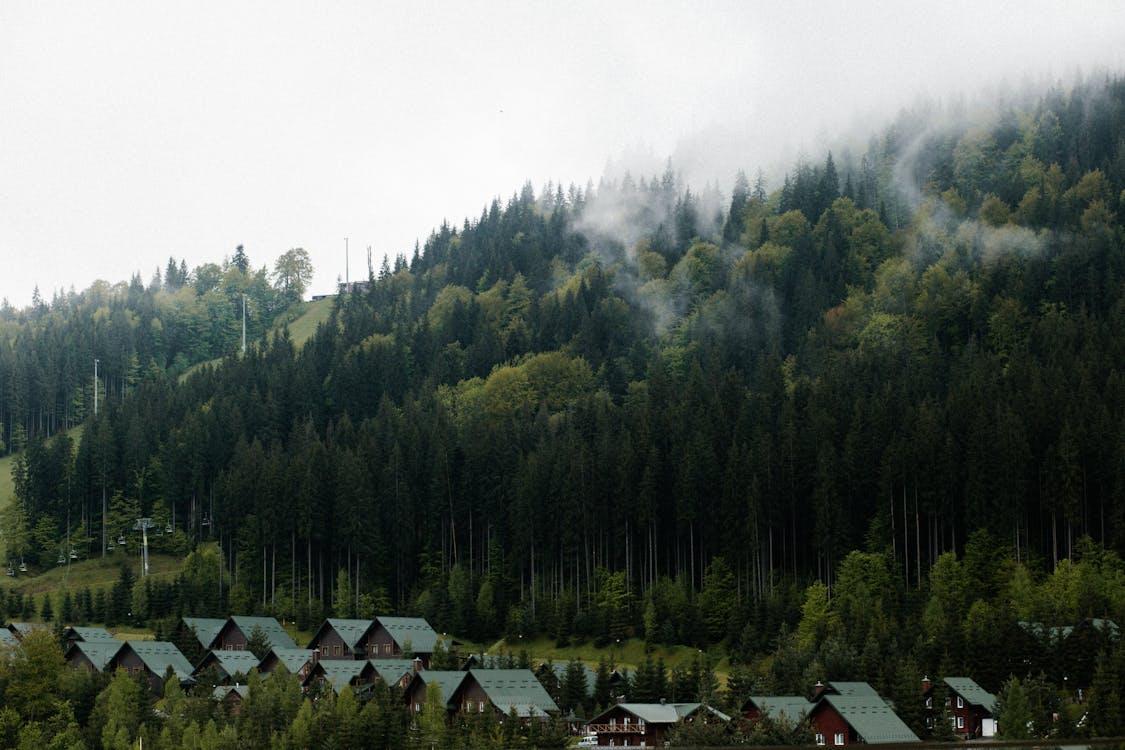 Сувенірка — зміст у деталях